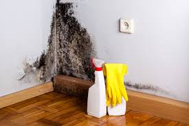 Crestline, CA Mold Remediation Company